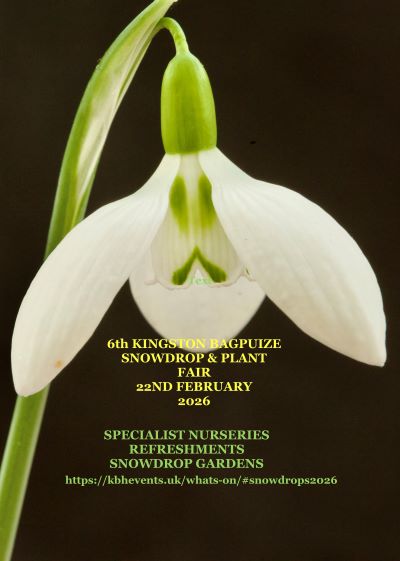 Upcoming - Plant Fair